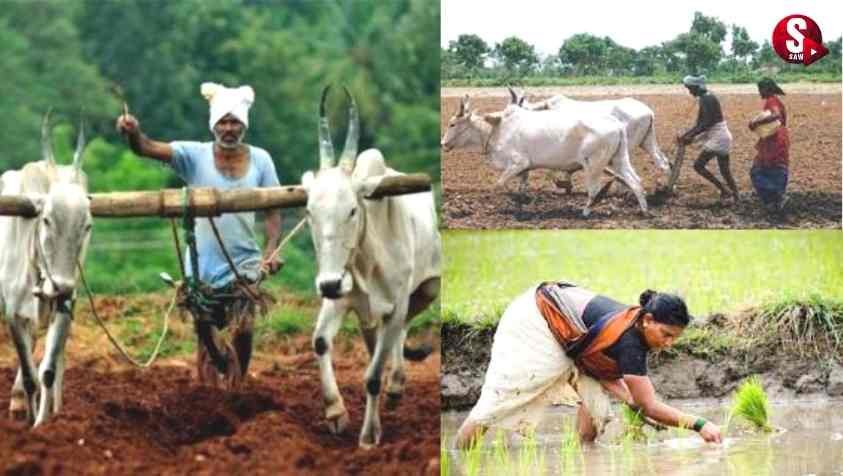 Tirupur Velan Seithigal : விவசாயிகளின் வருமானத்தை அதிகரிக்க திருப்பூரில் கிடைத்த ஒரு ஐடியா....!