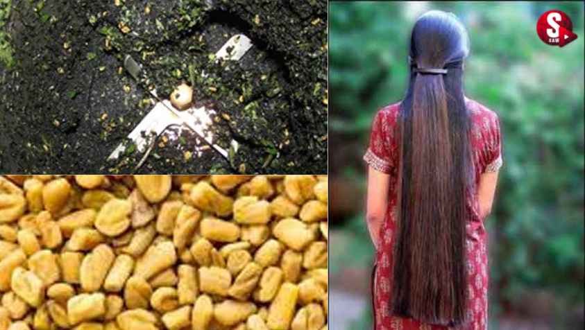 கொத்து கொத்தாக மற்றும் கருப்பாக முடி வளர கறிவேப்பிலை எண்ணெய்..! வீட்டிலேயே இப்படி செய்யுங்க… | How to Make Curry Leaves Oil for Hair in Tamil