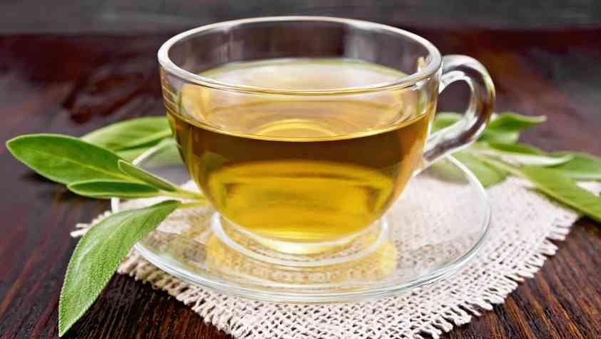 Benefits of Green Tea in Tamil: தினமும் வெறும் வயிற்றில் கிரீன் டீ குடிப்பதால் இத்தனை நன்மைகளா...? 