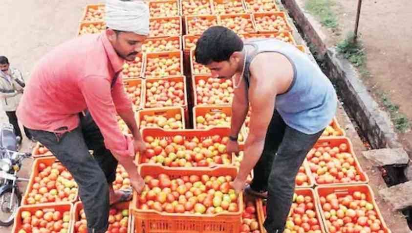 உச்சத்தில் தக்காளி விலை..? பொதுமக்கள் அதிர்ச்சி..!