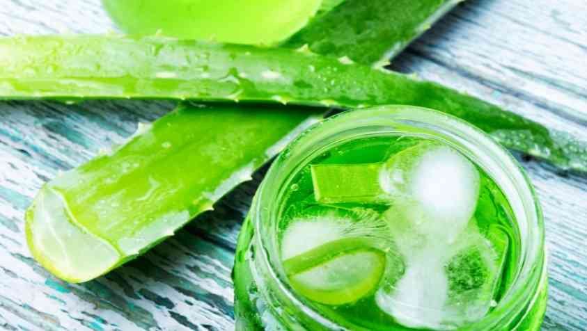 How to Make Aloe Vera Gel at Home in Tamil: வீட்டிலேயே இயற்கையான கற்றாழை ஜெல் தயாரிப்பது எப்படி...?