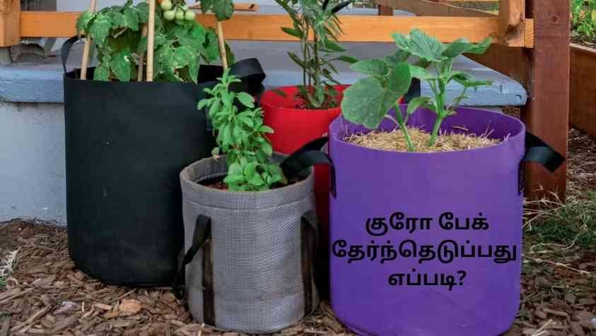 How to Choose Grow Bags: மாடித்தோட்டம் வைக்க குரோம் பேக் வாங்க போறீங்களா..? அப்போ இதெலாம் பாத்து வாங்குங்க…..