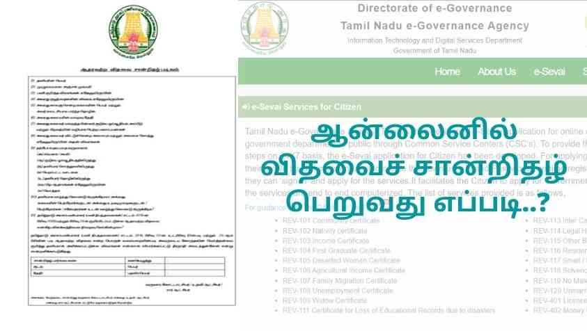 How to Apply Widow Certificate Online: ஆன்லைனில் விதவைச் சான்றிதழ் பெறுவது எப்படி..? முழு விவரங்களும் இங்கே….