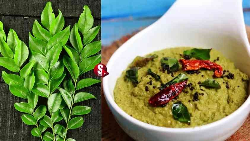 How to Make Karuveppilai Chutney in Tamil: கறிவேப்பிலை சட்னிய இப்படி செஞ்சி பாருங்க..