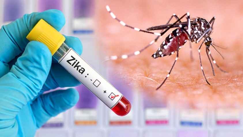 மீண்டும் பரவும் ஜிகா வைரஸ்…! அறிகுறிகள், பரவும் முறை, எப்படி தடுப்பது? | How To Prevent Zika Virus