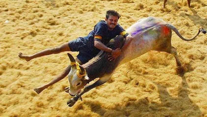 தமிழகத்தில் ஜல்லிக்கட்டு நடைபெறும் இடங்கள்..!| Jallikattu Places in Tamilnadu