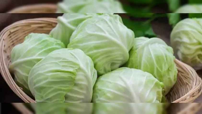 நோய்களைத் தவிர்க்கும் முட்டைக்கோஸ்.! கிடைக்கும் பல்வேறு நன்மைகள்.!| Benefits of Cabbage