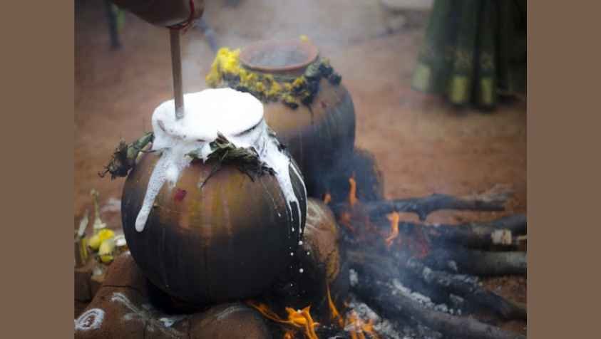 பொங்கல் பொங்கும் திசையும், அதன் பலன்களும்! | Pongal Pongum Thisai Palangal