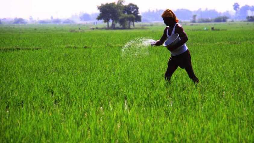 வேளாண் பட்ஜெட்டில் இடம்பெற்ற 10 சூப்பர் அறிவிப்புகள்.. | Agriculture Budget 2023-24 Highlights in Tamil