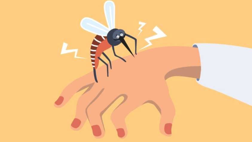 உயிருக்கு ஆபத்தான மலேரியா நோயில் இருந்து எப்படி விடுபடுவது? | Malaria Symptoms in Tamil
