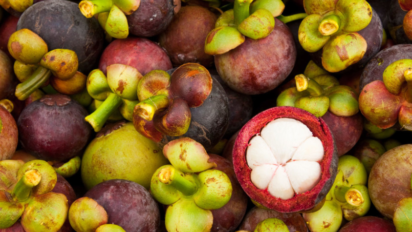 மங்குஸ்தான் பழத்தில் இப்படி ஒரு நன்மை இருக்குதா? இது தெரியாம போச்சே! | Mangosteen Fruit Benefits in Tamil